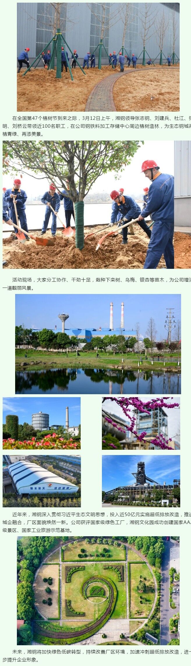 植绿添彩 美丽钢城丨湘钢开展2025年植树活动